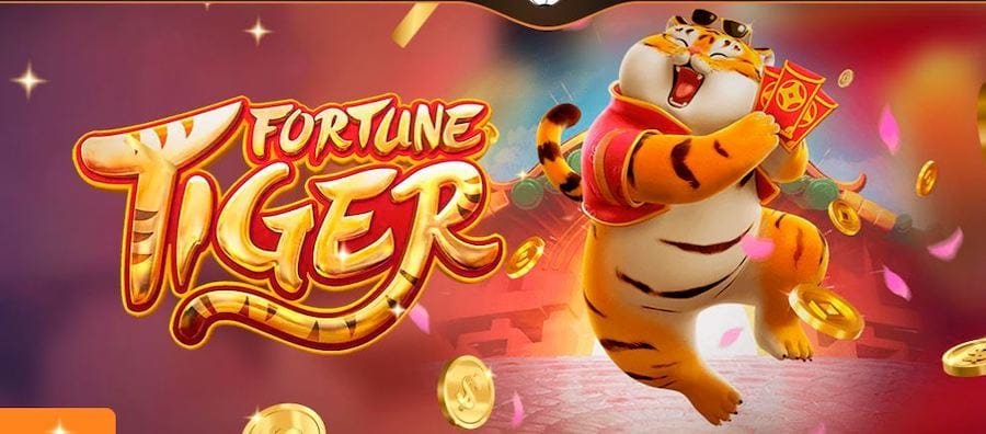 Bangladesh facing vk333 betting guide hero image for adult sports readers